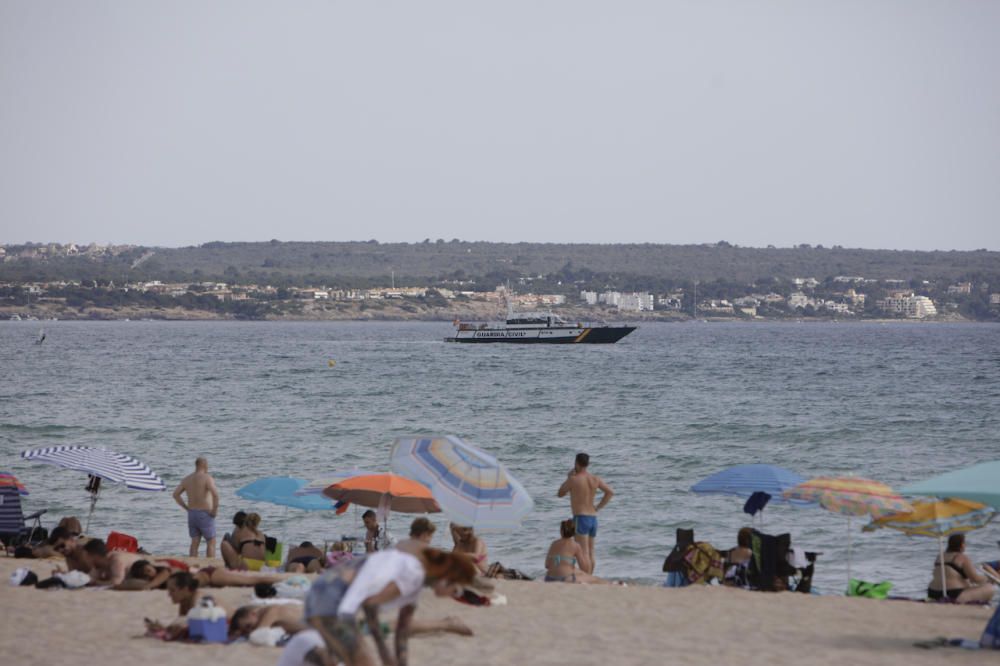 Precaución en el Arenal por la tintorera