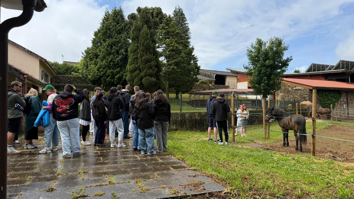 La cantera del campo de Galicia y Bélgica comparte experiencias en Sergude