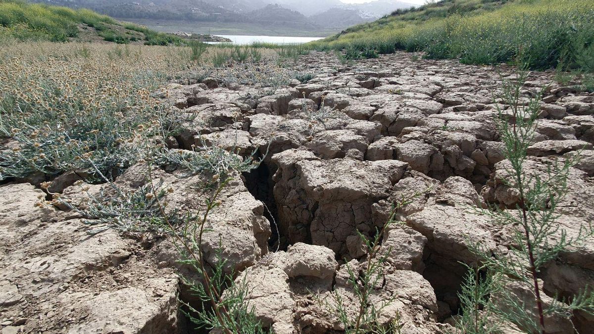 Aspecto que presenta el embalse de la Viñuela.