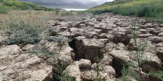 Ultiman un tercer decreto de sequía por la falta de lluvias que sufre la provincia