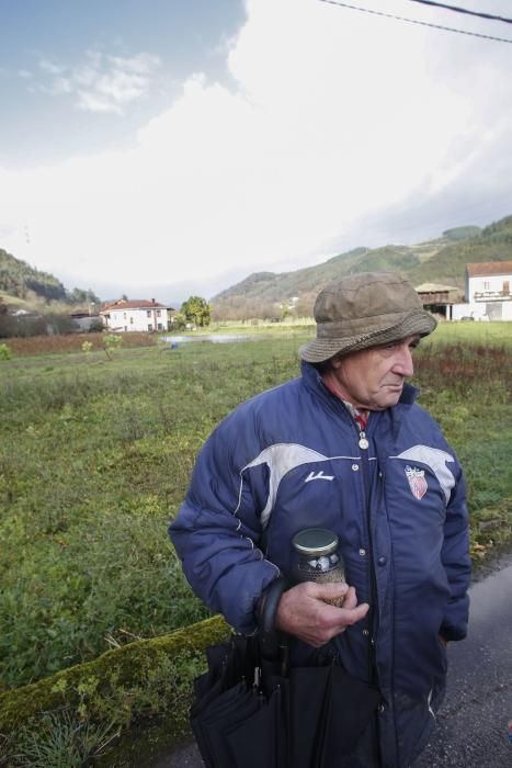 Aspecto del río Narcea a su paso por Laneo (Salas)