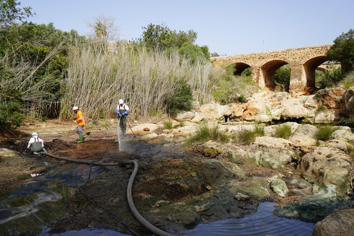 Trabajadores de Santa Eulária limpiando el río y la laguna de sa Font d’en Lluna