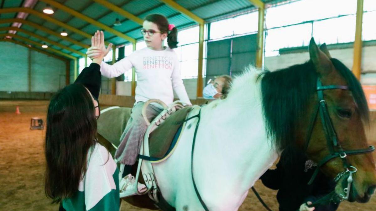 Los alumnos del Princesa Letizia recuperan los beneficios de la hípica tras  dos años arrebatados por la pandemia - Faro de Vigo