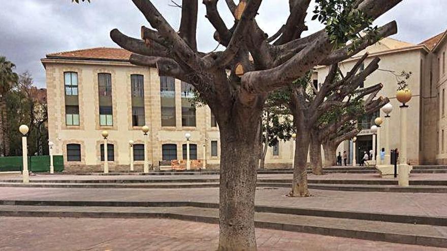 La plaza de los juzgados tras la poda de árboles