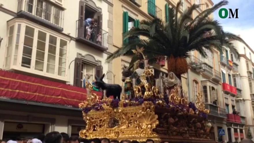 Domingo de Ramos | Pollinica