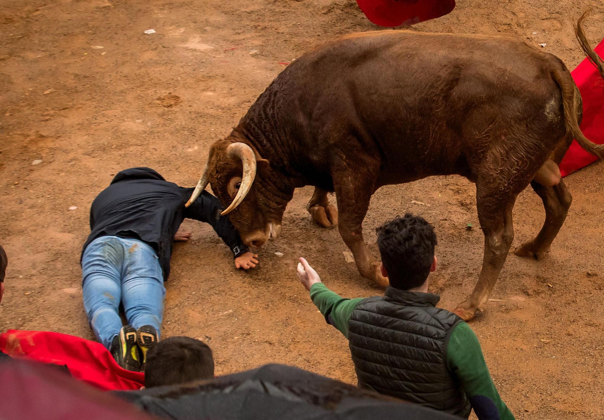 GALERÍA: El encierro a caballo del Carnaval del Toro, en imágenes