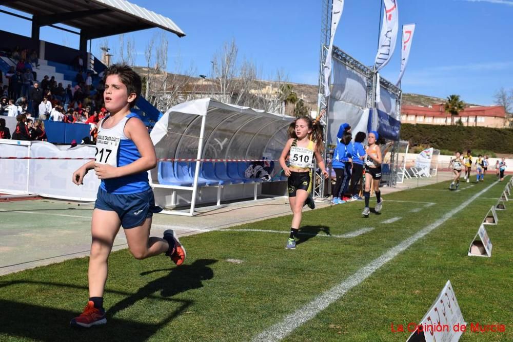 Cross de Jumilla 5