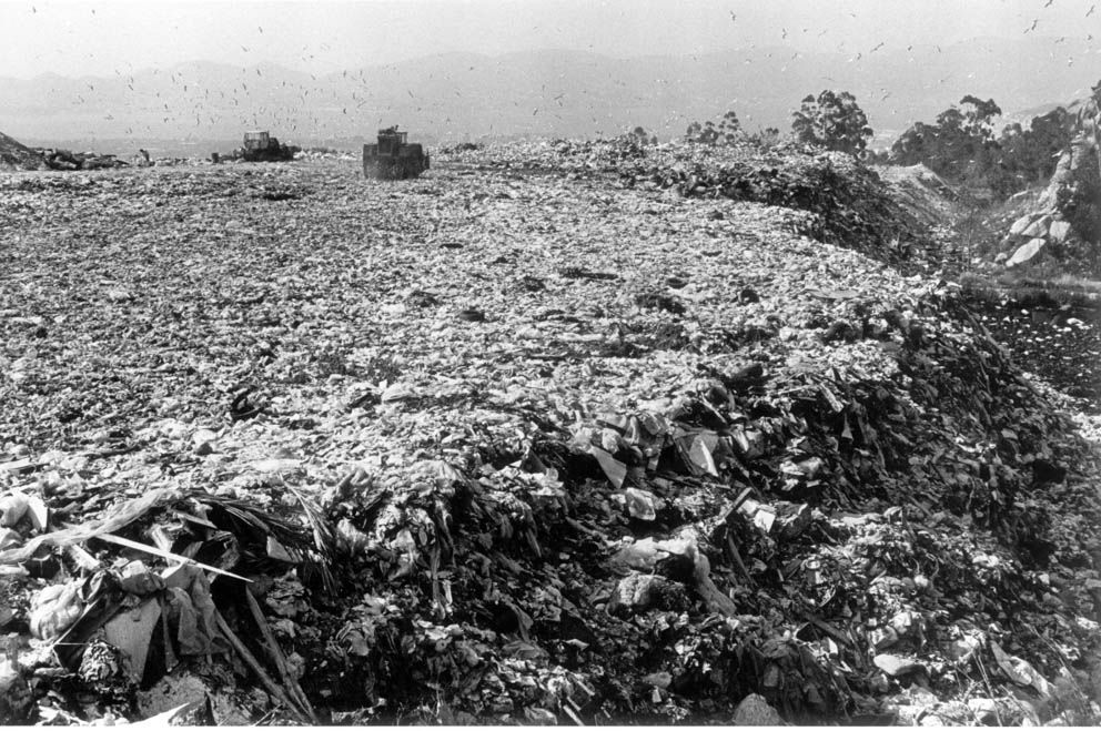 De vertedero a paisaje idílico: el proceso de recuperación de O Zondal