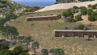 Mijas creará un refugio para burros, el animal símbolo del municipio