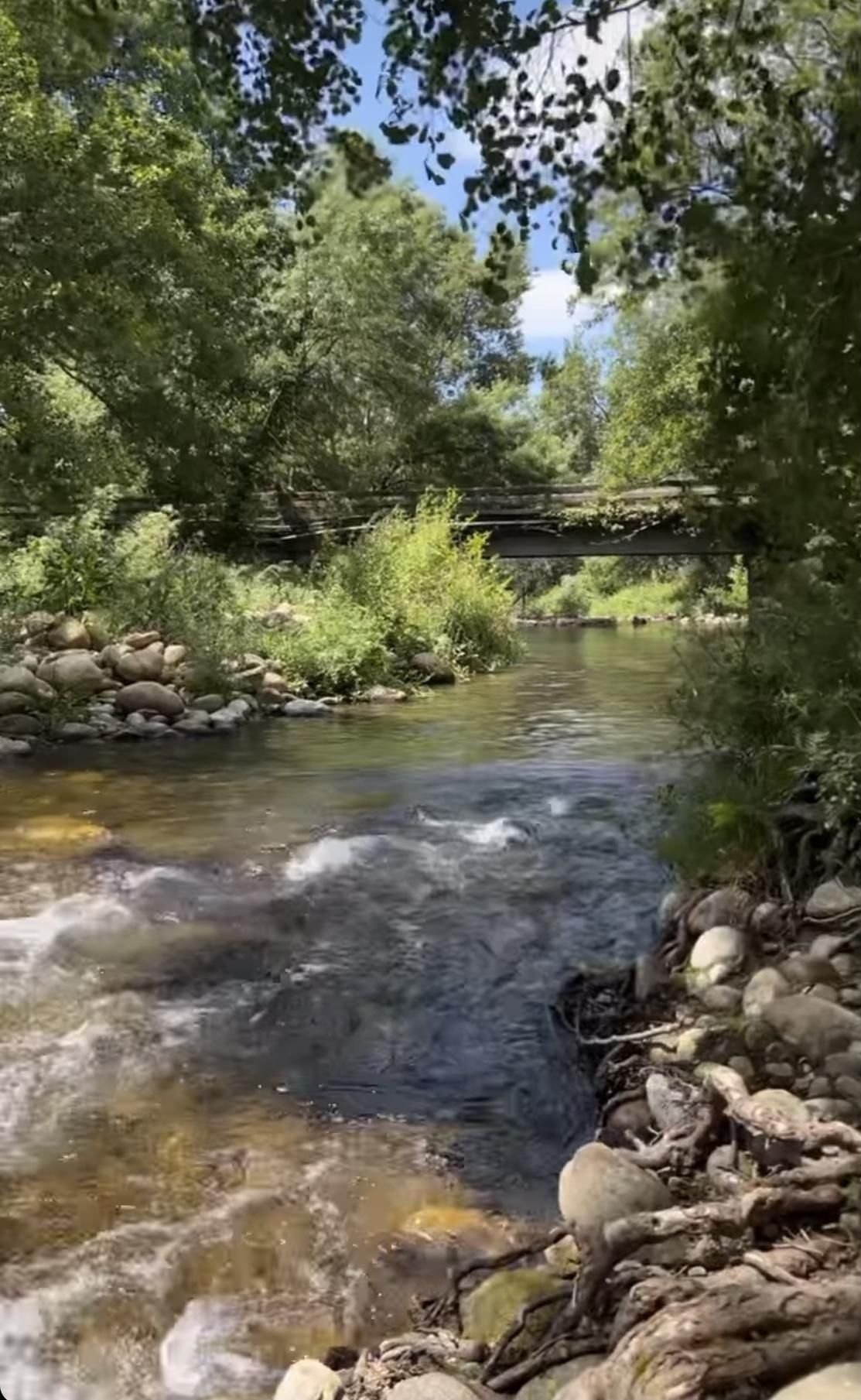 El río y al fondo el puente.