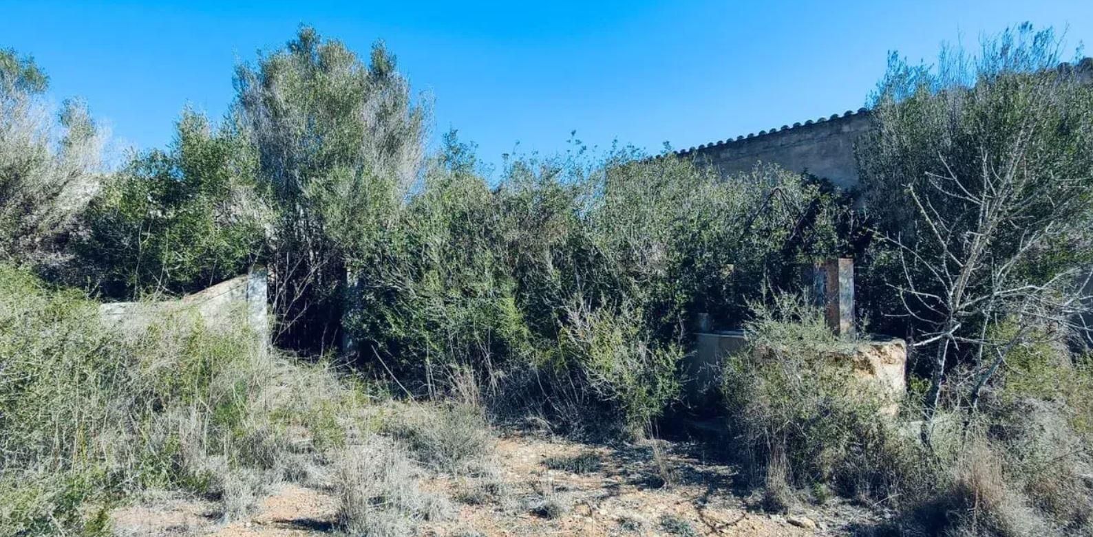 Una finca rústica para restaurar como un agroturismo por nueve millones de euros en Ibiza