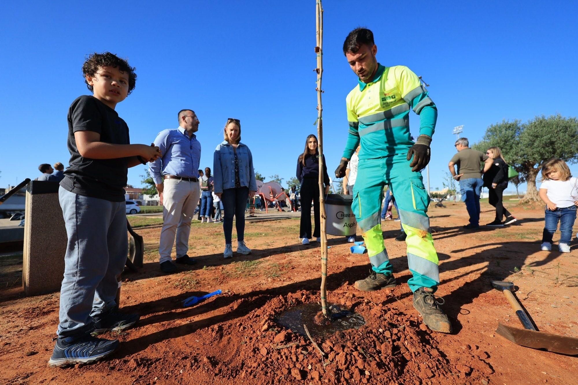  Éxito de la plantación de árboles por parte de personal y familias de Pamesa Grupo Empresarial en la Ciutat Esportiva Municipal de Vila-real que ha tenido lugar en la mañana. de este sábado La acción, que forma parte de la Responsabilidad Social Corporativa del grupo, está incluida en la programación del 20.º Mes de la Sostenibilidad de la Concejalía de Medio Ambiente.
