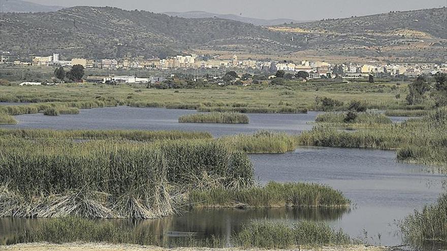 Castellón tiene el mayor riesgo de enfermedad viral por mosquitos