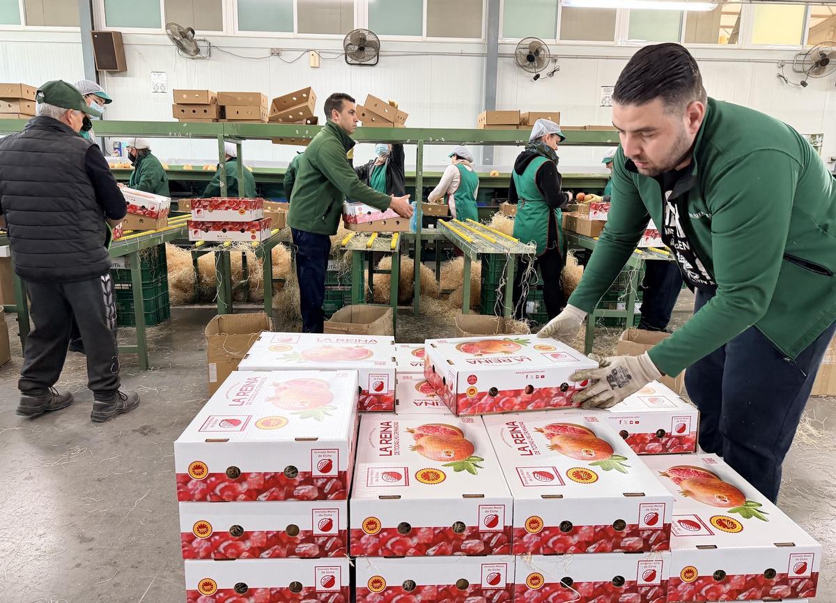 Para Francisco Oliva, también “es una oportunidad excelente de llevar salud y el sabor de la tierra a las personas que están lejos"