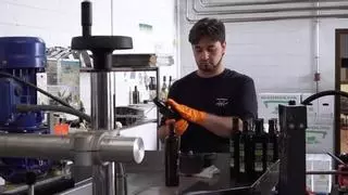 Productores españoles de aceite de oliva buscan mercados alternativos frente a medidas arancelarias de EEUU