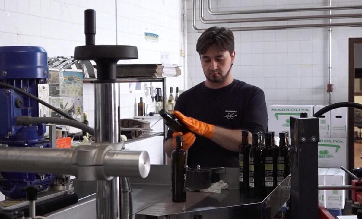 Para mitigar el impacto, algunos productores españoles de aceite de oliva se están orientando hacia mercados alternativos fuera de Estados Unidos.