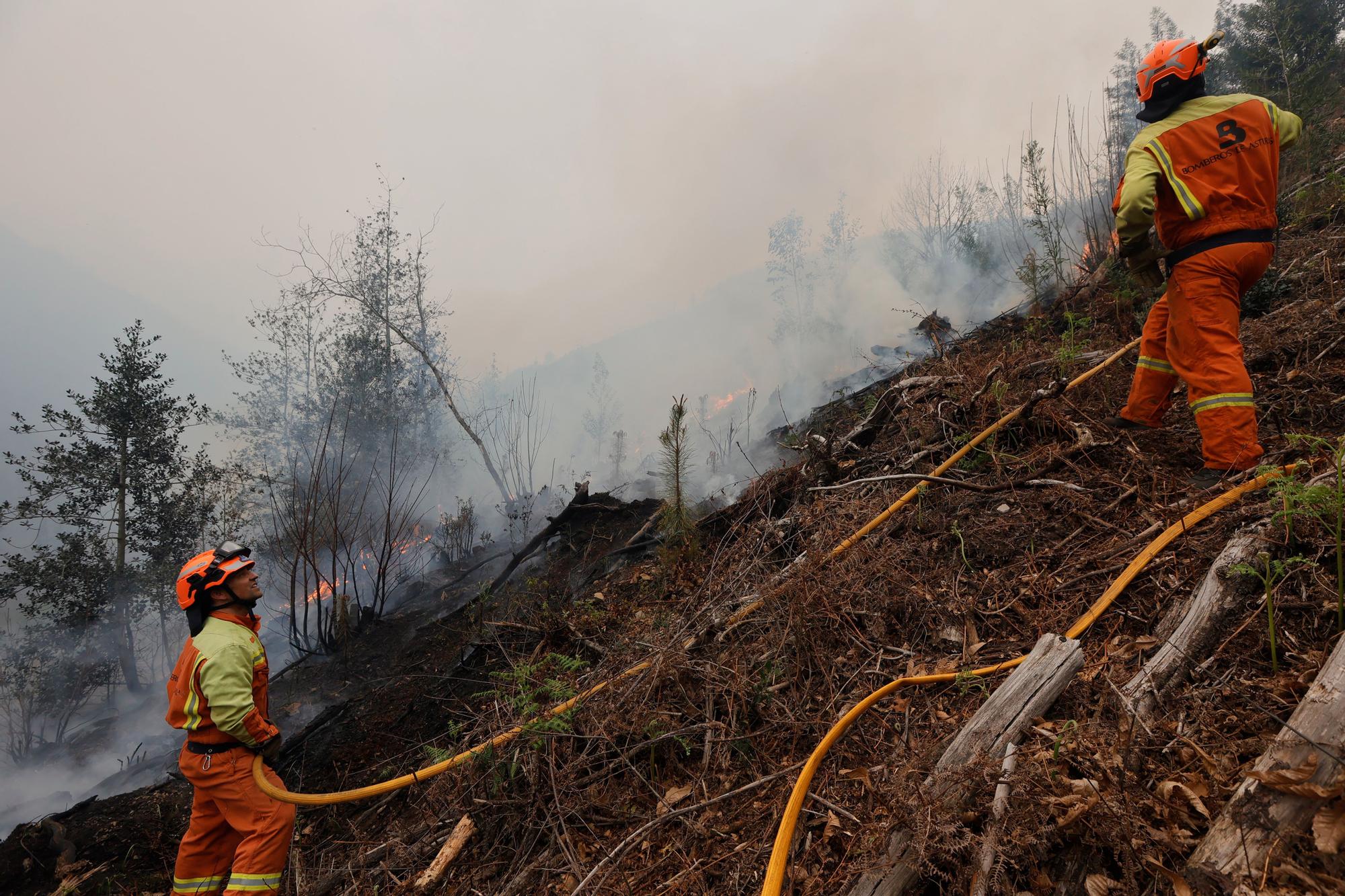 Dura lucha contra los incendios de Tineo y Valdés