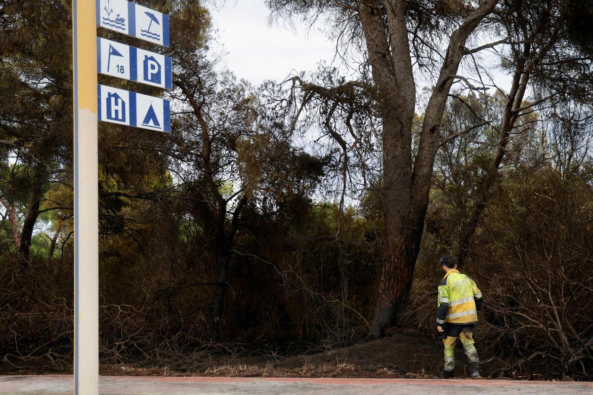 Las primeras imágenes del Saler tras el devastador incendio en la Devesa