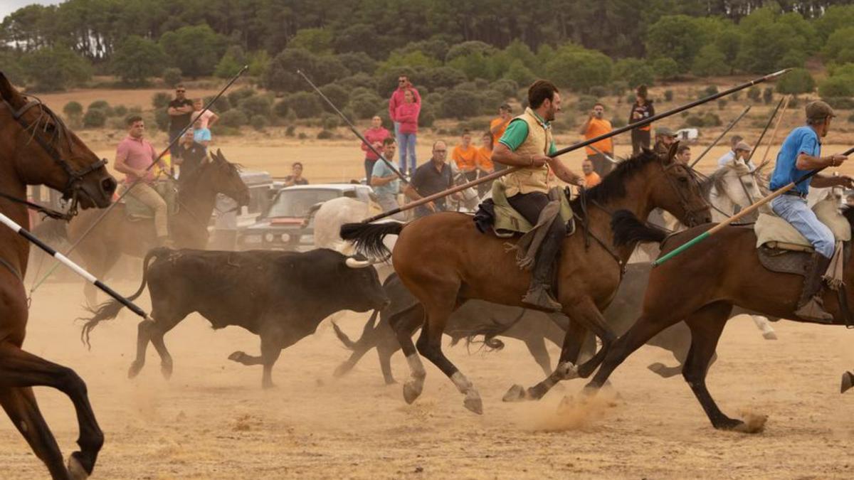 Bravura en las eras de Carbajales