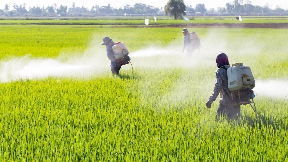 Aplicación de pesticidas en un campo de cultivo