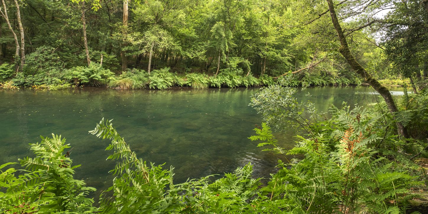El Parque Natural de Fragas do Eume protege más de 9 mil hectáreas de terreno