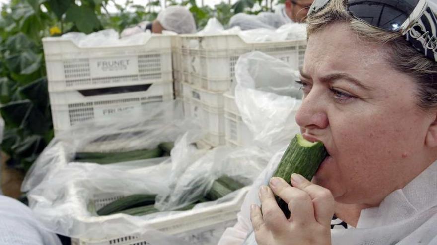 La crisis del pepino provocó una enérgica respuesta de los productores andaluces. En la imagen, la entonces consejera de Agricultura Clara Aguilera comiendo un pepino en una plantación en Almería.