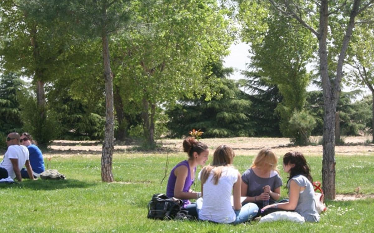 Las 14.415 plazas corresponden a dos de las cuatro modalidades de campamentos que organizará el Área de Políticas Sociales, Familia e Igualdad durante el periodo estival