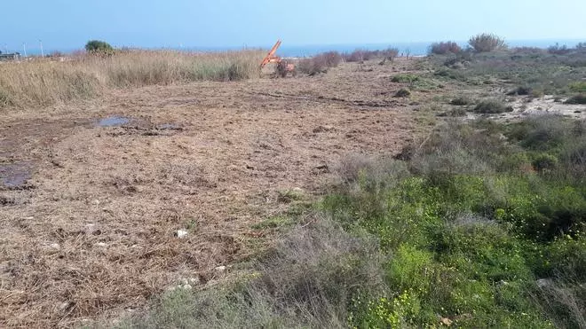 Los ecologistas se oponen al desbroce masivo del río Seco por su protección como zona húmeda