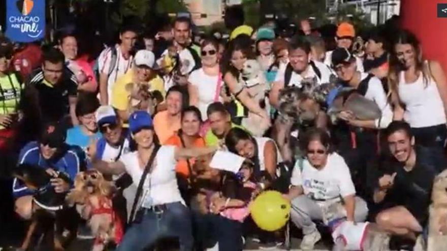 Manifestación de perros (y de sus dueños) en Venezuela