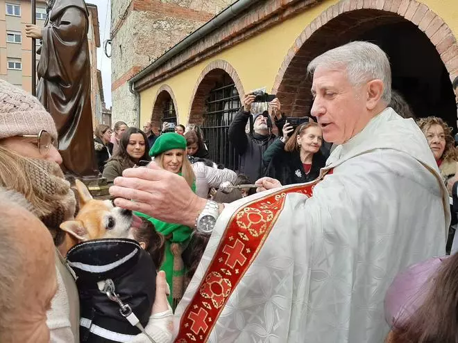 Lugones festeja a San Antón con decenas de animales esperando para ser bendecidos