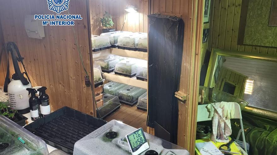 Una de les habitacions del xalet de Vidreres amb plantes de marihuana a dins la sauna.