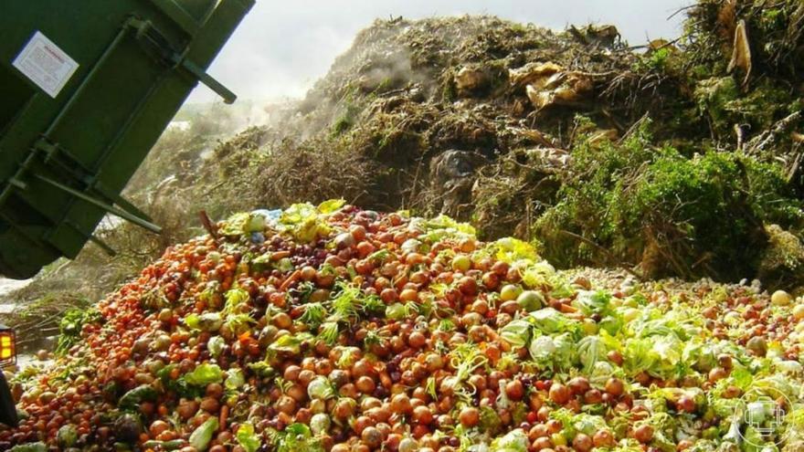 Desperdicio de alimentos. | | LNE