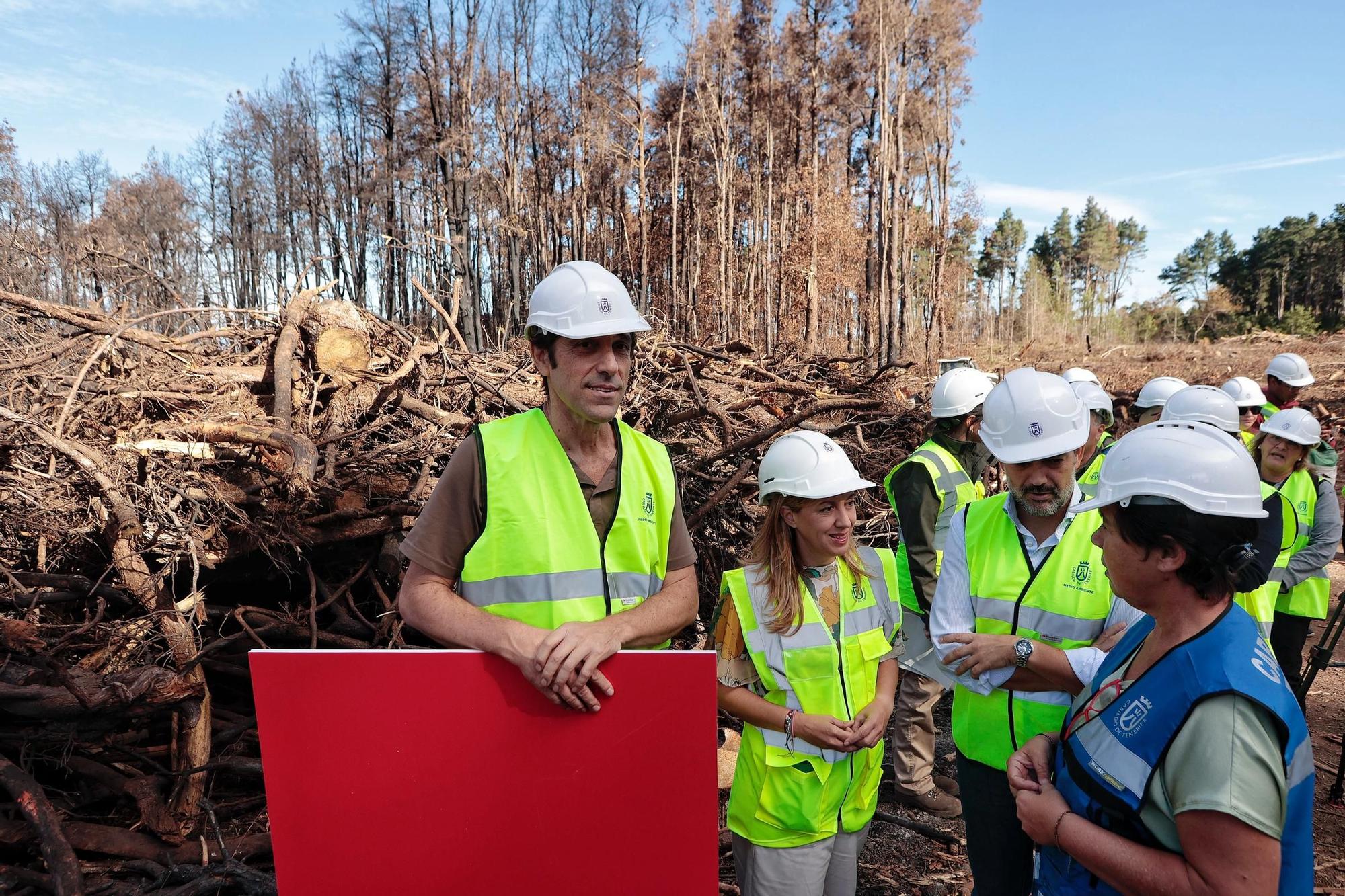 Visita a zonas afectadas por el incendio de agosto en Tenerife