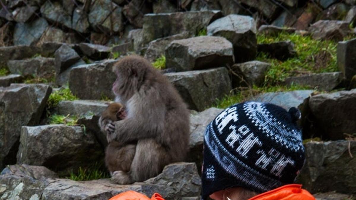 Chica con bebé viendo monos