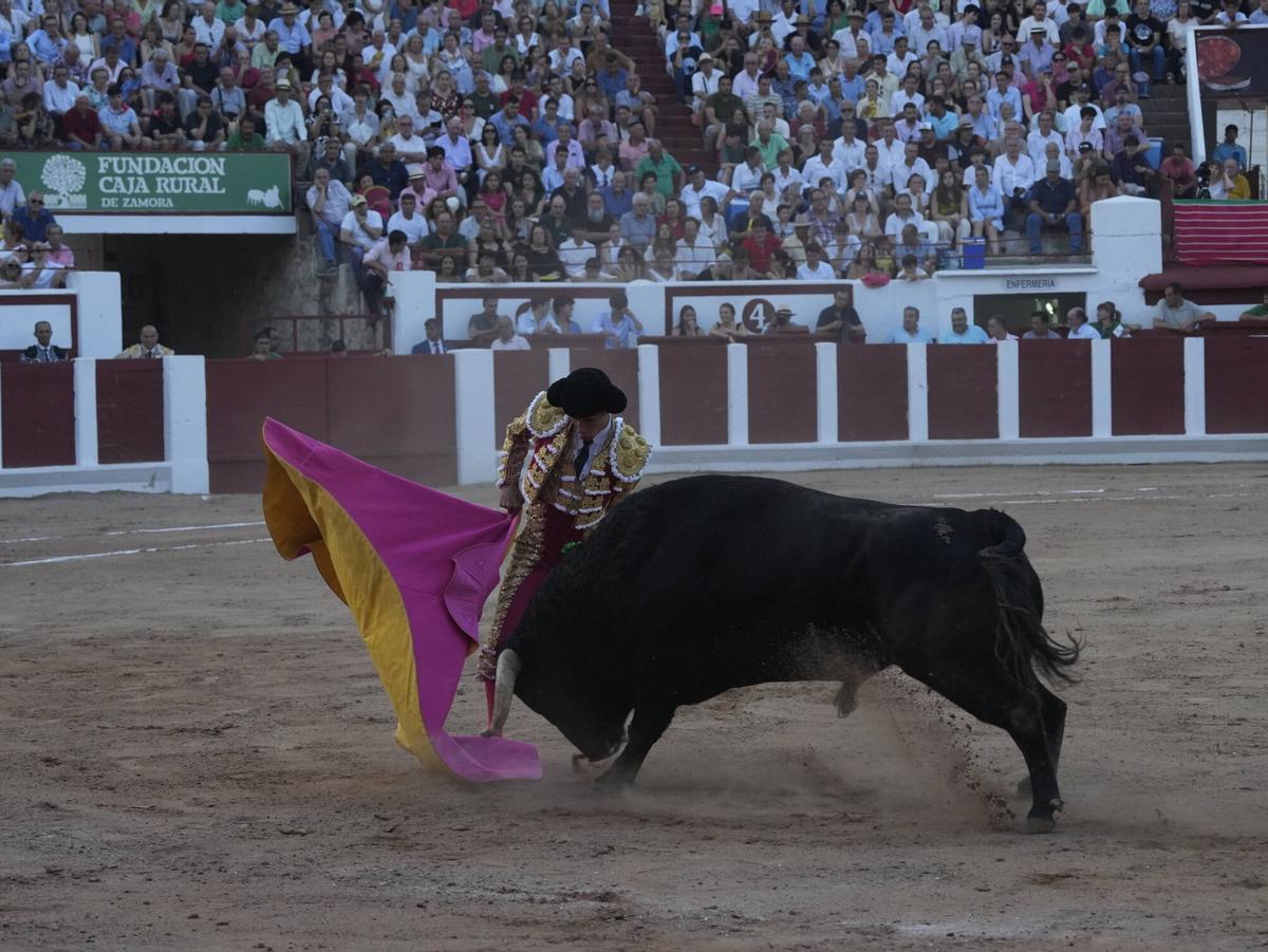 Las mejores imágenes de la feria taurina de San Pedro en Zamora.