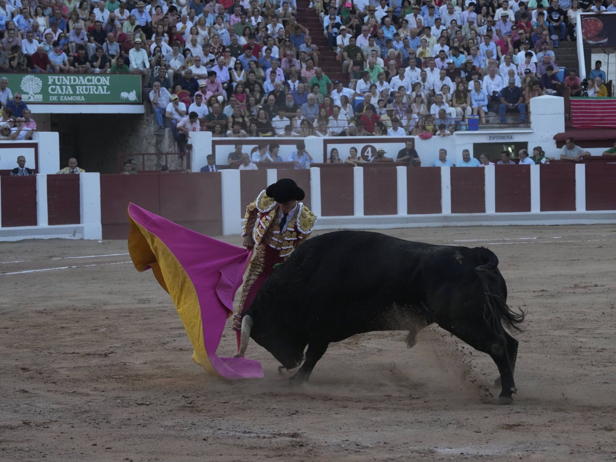 Las mejores imágenes de la feria taurina de San Pedro en Zamora.
