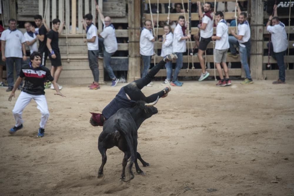 Corre de bou de diumenge a Cardona