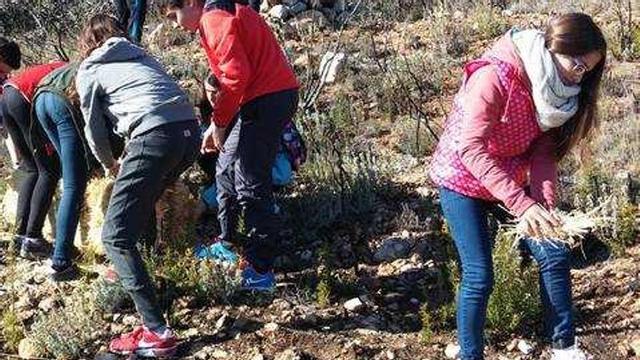 La UMH y tres institutos de Alcoy analizan el impacto del incendio forestal de Serelles
