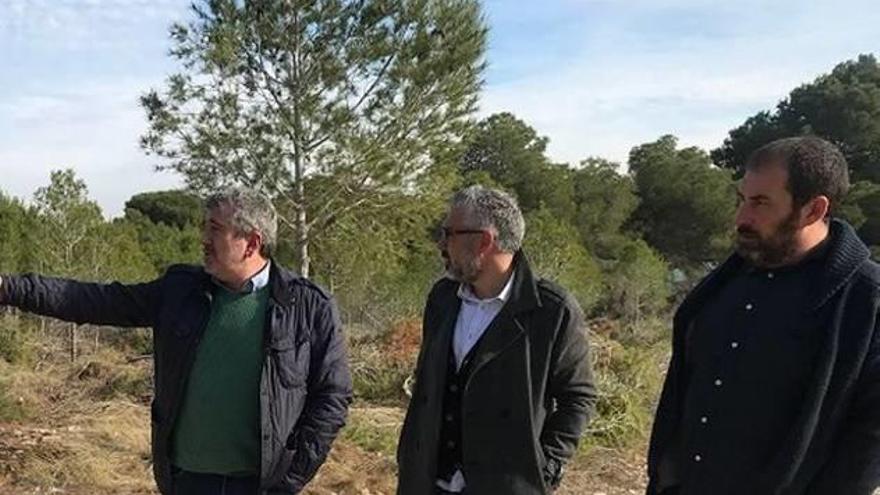 Miembros de la corporación municipal visitan el bosque.