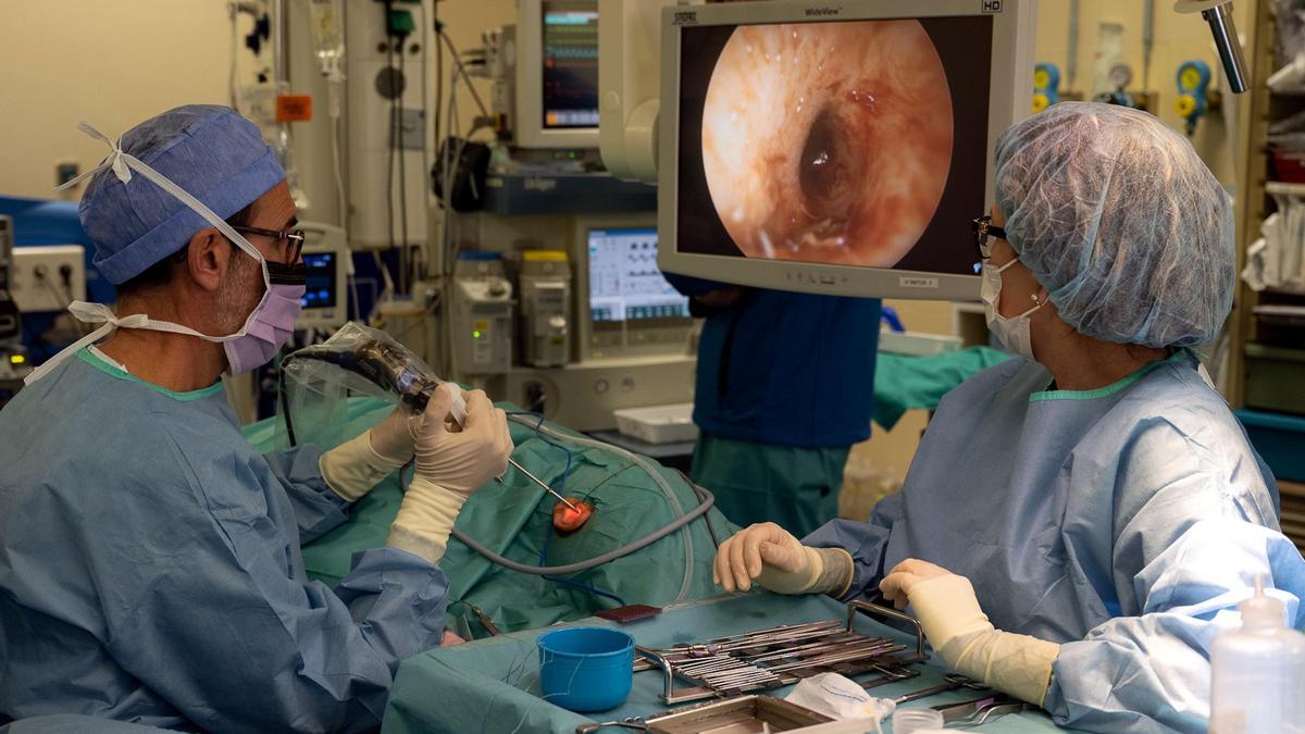 El Clínic, primer hospital de España que extirpa tumores del oído interno con cirugía endoscópica
