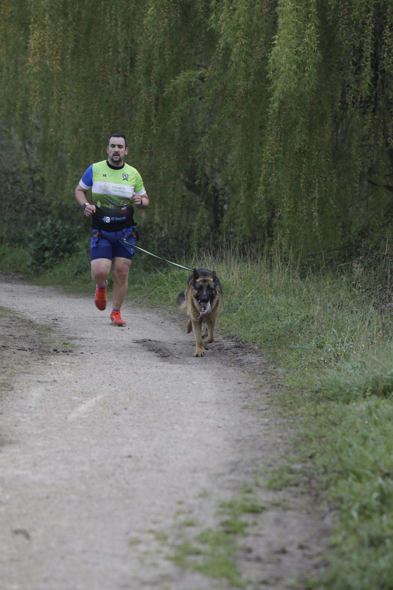 Los corredores del Celtastur de Llanera y sus perros preparan el Mundial en La Morgal: cuatro de sus integrantes estarán en la cita de Plédran (Francia)