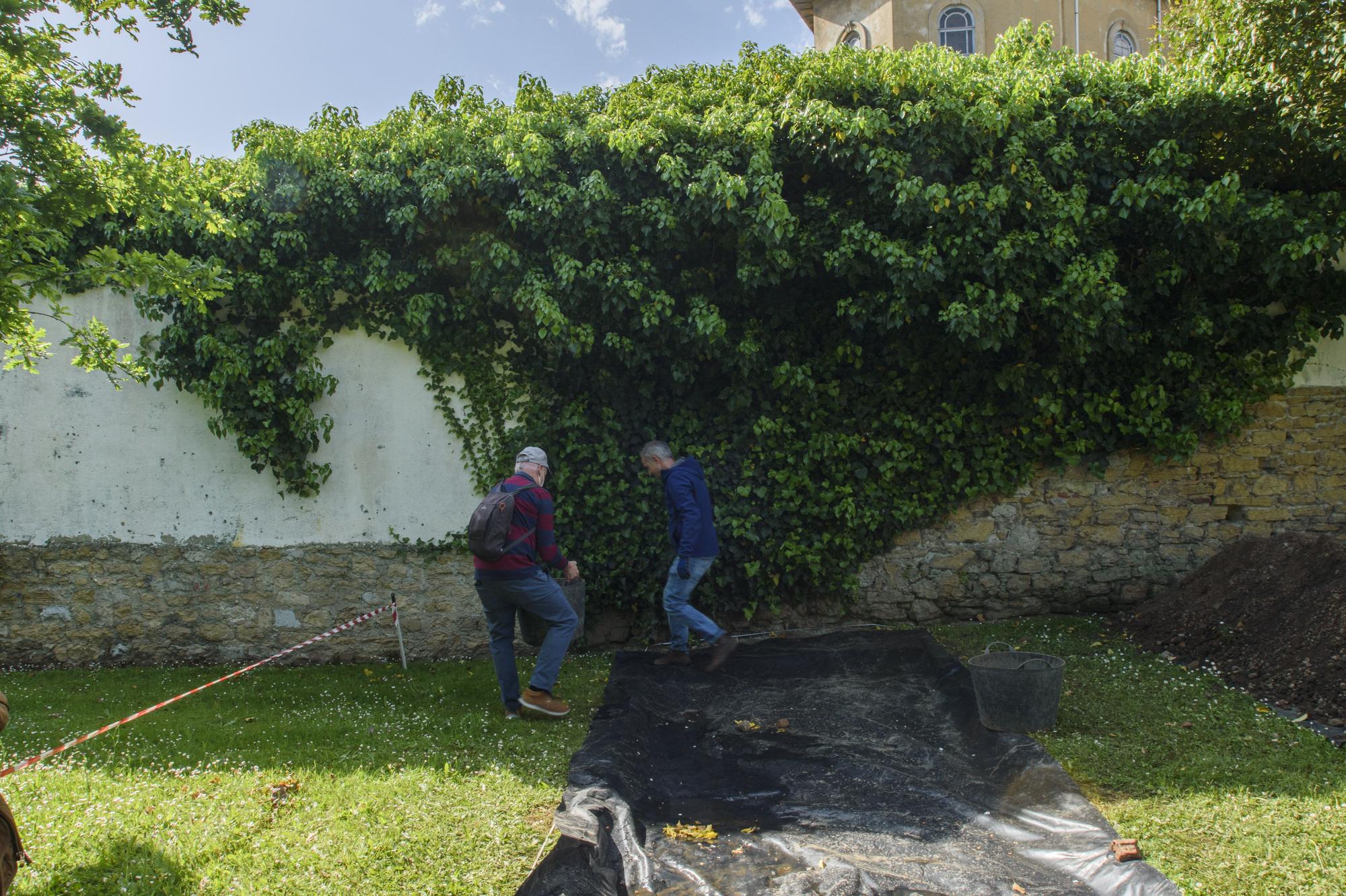 EN IMÁGENES: Así fue la primera visita guiada por los jardines de La Rodriga en Oviedo