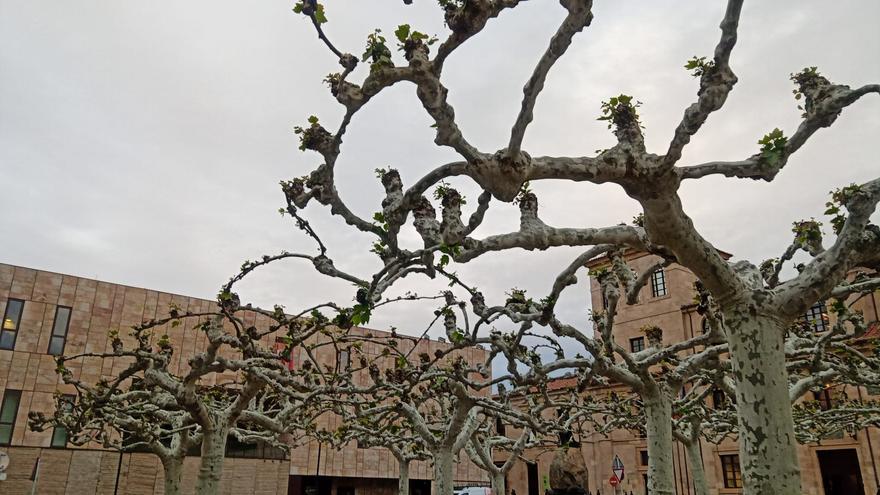 El tiempo en Zamora hoy, jueves