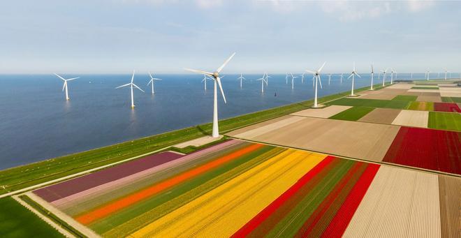 Campo de Tulipanes, Holanda