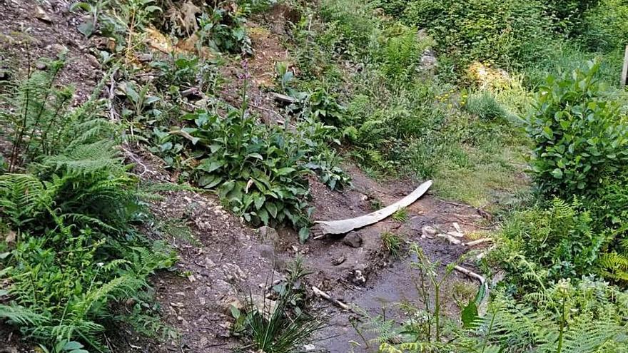 La ladera del curso fluvial sobre la que se actuará.