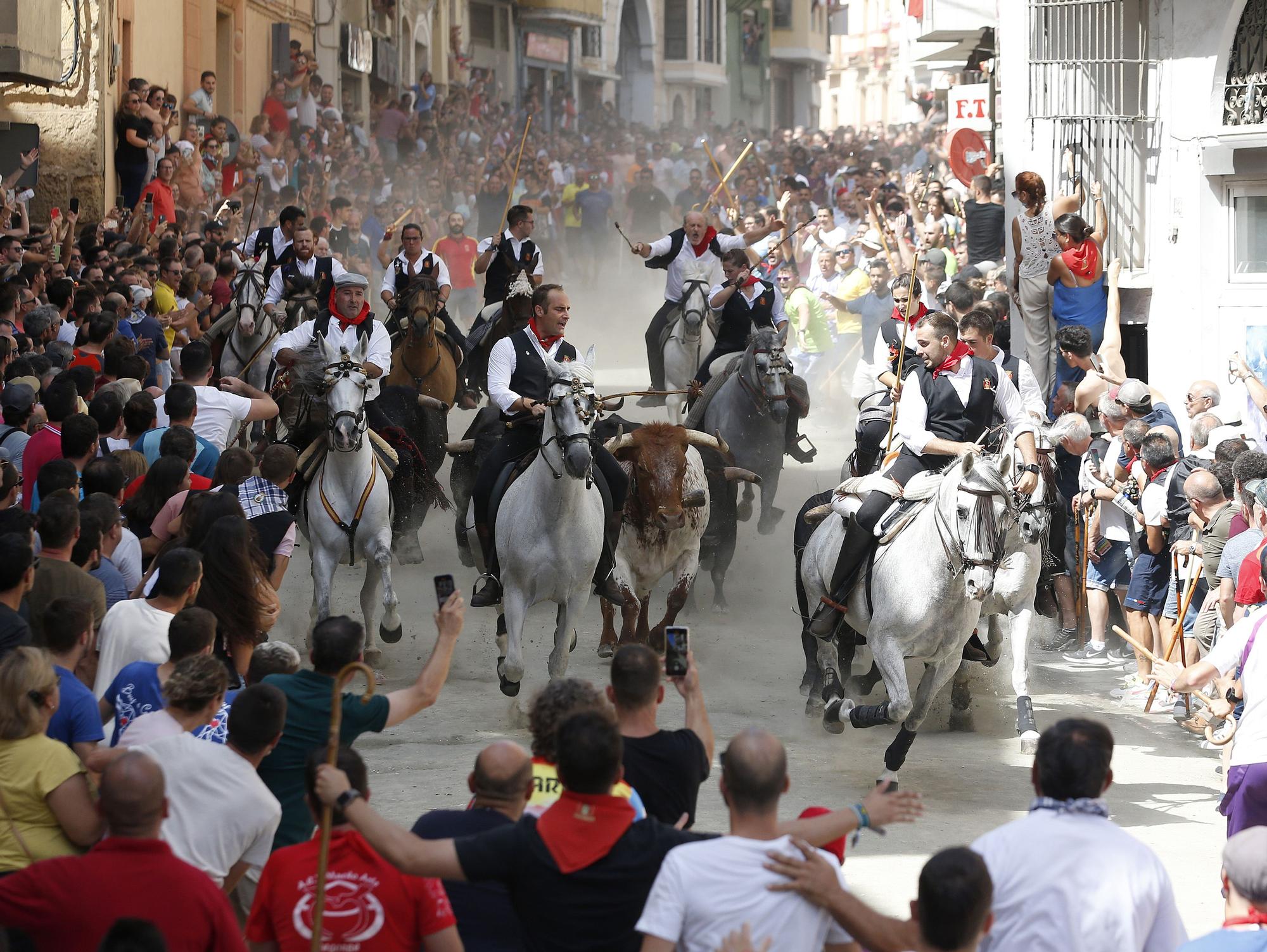 Las fotos de la última Entrada de Toros y Caballos de Segorbe