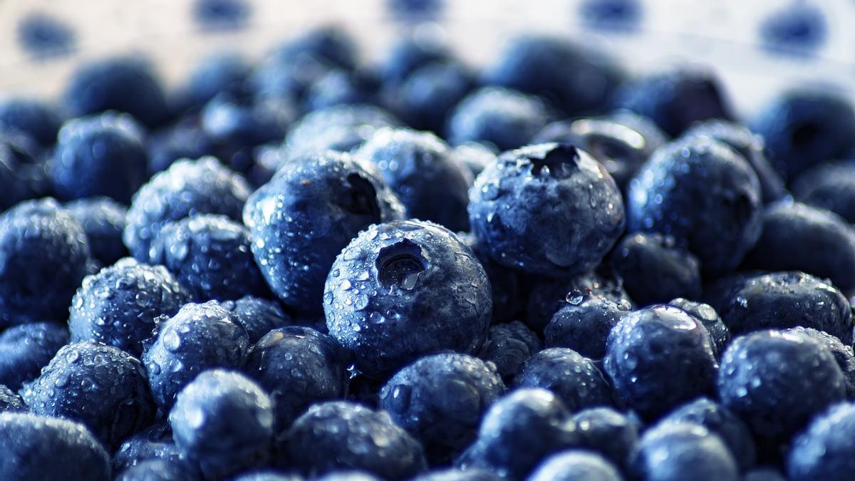 Els nabius son rics en antioxidants.