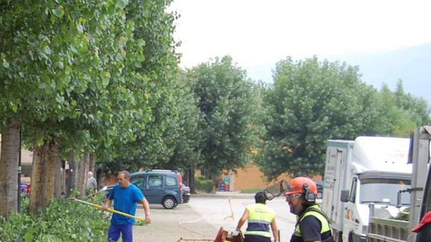 Unos operarios realizan trabajos de jardinería en Cesantes.