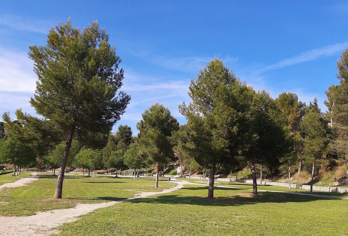 Parc de Valldaura, Igualada