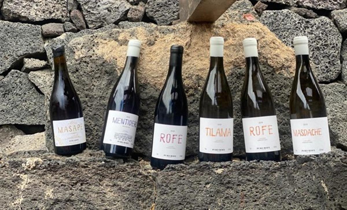 Cata de Puro Rofe